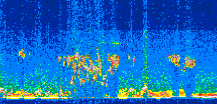 /calipso-imagery/data/BROWSE/production/V5-00/2008-12-23/2008-12-23_07-35-36_V5.00_3_thmb.png image missing