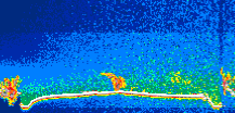 /calipso-imagery/data/BROWSE/production/V5-00/2008-12-23/2008-12-23_15-50-02_V5.00_1_thmb.png image missing