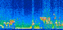 /calipso-imagery/data/BROWSE/production/V5-00/2008-12-23/2008-12-23_17-28-57_V5.00_2_thmb.png image missing