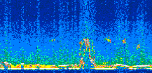 /calipso-imagery/data/BROWSE/production/V5-00/2008-12-23/2008-12-23_20-46-42_V5.00_3_thmb.png image missing