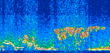 /calipso-imagery/data/BROWSE/production/V5-00/2008-12-23/2008-12-23_22-25-38_V5.00_2_thmb.png image missing
