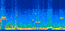 /calipso-imagery/data/BROWSE/production/V5-00/2008-12-25/2008-12-25_00-47-46_V5.00_3_thmb.png image missing