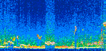 /calipso-imagery/data/BROWSE/production/V5-00/2008-12-25/2008-12-25_17-16-38_V5.00_2_thmb.png image missing