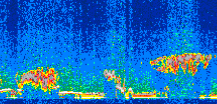 /calipso-imagery/data/BROWSE/production/V5-00/2008-12-25/2008-12-25_22-13-14_V5.00_2_thmb.png image missing