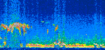 /calipso-imagery/data/BROWSE/production/V5-00/2008-12-27/2008-12-27_00-35-27_V5.00_3_thmb.png image missing