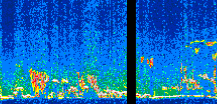 /calipso-imagery/data/BROWSE/production/V5-00/2008-12-27/2008-12-27_05-32-03_V5.00_2_thmb.png image missing