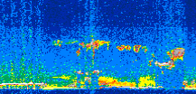 /calipso-imagery/data/BROWSE/production/V5-00/2008-12-27/2008-12-27_13-46-29_V5.00_3_thmb.png image missing