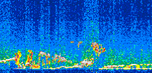 /calipso-imagery/data/BROWSE/production/V5-00/2008-12-27/2008-12-27_18-43-10_V5.00_2_thmb.png image missing