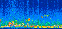 /calipso-imagery/data/BROWSE/production/V5-00/2008-12-27/2008-12-27_23-39-51_V5.00_2_thmb.png image missing