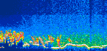 /calipso-imagery/data/BROWSE/production/V5-00/2008-12-31/2008-12-31_00-10-50_V5.00_1_thmb.png image missing