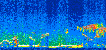 /calipso-imagery/data/BROWSE/production/V5-00/2008-12-31/2008-12-31_00-10-50_V5.00_2_thmb.png image missing
