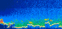 /calipso-imagery/data/BROWSE/production/V5-00/2008-12-31/2008-12-31_03-28-36_V5.00_1_thmb.png image missing