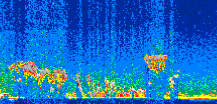 /calipso-imagery/data/BROWSE/production/V5-00/2008-12-31/2008-12-31_08-25-16_V5.00_2_thmb.png image missing