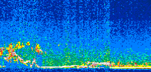 /calipso-imagery/data/BROWSE/production/V5-00/2008-12-31/2008-12-31_13-21-57_V5.00_2_thmb.png image missing