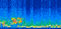 /calipso-imagery/data/BROWSE/production/V5-00/2008-12-31/2008-12-31_19-57-28_V5.00_2_thmb.png image missing