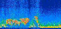 /calipso-imagery/data/BROWSE/production/V5-00/2008-12-31/2008-12-31_21-36-23_V5.00_2_thmb.png image missing