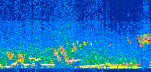 /calipso-imagery/data/BROWSE/production/V5-00/2008-12-31/2008-12-31_23-15-13_V5.00_2_thmb.png image missing