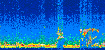 /calipso-imagery/data/BROWSE/production/V5-00/2008-12-31/2008-12-31_23-15-13_V5.00_3_thmb.png image missing