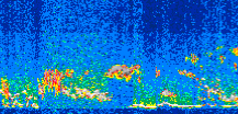 /calipso-imagery/data/BROWSE/production/V5-00/2009-01-05/2009-01-05_03-47-21_V5.00_2_thmb.png image missing