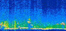 /calipso-imagery/data/BROWSE/production/V5-00/2009-01-05/2009-01-05_05-26-11_V5.00_2_thmb.png image missing