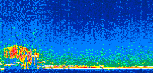 /calipso-imagery/data/BROWSE/production/V5-00/2009-01-05/2009-01-05_07-05-06_V5.00_2_thmb.png image missing