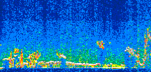 /calipso-imagery/data/BROWSE/production/V5-00/2009-01-05/2009-01-05_10-22-52_V5.00_2_thmb.png image missing