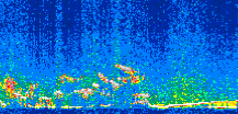 /calipso-imagery/data/BROWSE/production/V5-00/2009-01-05/2009-01-05_18-37-18_V5.00_2_thmb.png image missing