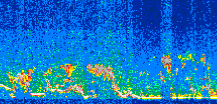 /calipso-imagery/data/BROWSE/production/V5-00/2009-01-05/2009-01-05_21-55-03_V5.00_2_thmb.png image missing