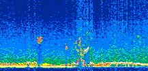 /calipso-imagery/data/BROWSE/production/V5-00/2009-01-05/2009-01-05_21-55-03_V5.00_3_thmb.png image missing