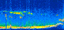 /calipso-imagery/data/BROWSE/production/V5-00/2009-01-22/2009-01-22_06-10-51_V5.00_3_thmb.png image missing