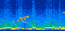 /calipso-imagery/data/BROWSE/production/V5-00/2009-01-22/2009-01-22_07-49-46_V5.00_2_thmb.png image missing