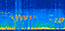 /calipso-imagery/data/BROWSE/production/V5-00/2009-01-22/2009-01-22_07-49-46_V5.00_3_thmb.png image missing