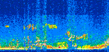 /calipso-imagery/data/BROWSE/production/V5-00/2009-01-22/2009-01-22_09-28-41_V5.00_3_thmb.png image missing