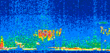 /calipso-imagery/data/BROWSE/production/V5-00/2009-01-22/2009-01-22_12-46-27_V5.00_2_thmb.png image missing