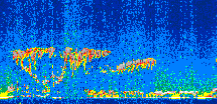 /calipso-imagery/data/BROWSE/production/V5-00/2009-01-22/2009-01-22_16-04-12_V5.00_3_thmb.png image missing