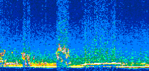 /calipso-imagery/data/BROWSE/production/V5-00/2009-01-22/2009-01-22_19-21-57_V5.00_2_thmb.png image missing