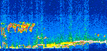 /calipso-imagery/data/BROWSE/production/V5-00/2009-02-09/2009-02-09_06-00-28_V5.00_3_thmb.png image missing