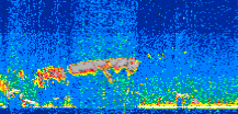 /calipso-imagery/data/BROWSE/production/V5-00/2009-02-09/2009-02-09_15-53-50_V5.00_2_thmb.png image missing