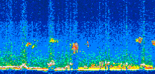 /calipso-imagery/data/BROWSE/production/V5-00/2009-02-09/2009-02-09_20-50-30_V5.00_2_thmb.png image missing