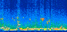 /calipso-imagery/data/BROWSE/production/V5-00/2009-02-09/2009-02-09_20-50-30_V5.00_3_thmb.png image missing