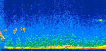 /calipso-imagery/data/BROWSE/production/V5-00/2009-03-15/2009-03-15_19-03-44_V5.00_2_thmb.png image missing