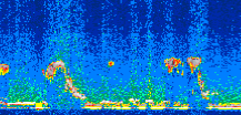 /calipso-imagery/data/BROWSE/production/V5-00/2009-03-15/2009-03-15_20-42-39_V5.00_2_thmb.png image missing