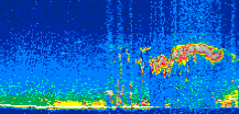 /calipso-imagery/data/BROWSE/production/V5-00/2009-04-29/2009-04-29_05-27-10_V5.00_2_thmb.png image missing