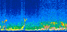 /calipso-imagery/data/BROWSE/production/V5-00/2009-04-29/2009-04-29_16-59-26_V5.00_3_thmb.png image missing