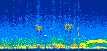 /calipso-imagery/data/BROWSE/production/V5-00/2009-04-29/2009-04-29_20-17-11_V5.00_2_thmb.png image missing