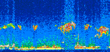 /calipso-imagery/data/BROWSE/production/V5-00/2009-04-29/2009-04-29_21-56-07_V5.00_2_thmb.png image missing
