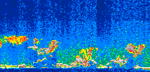 /calipso-imagery/data/BROWSE/production/V5-00/2009-04-29/2009-04-29_23-34-57_V5.00_3_thmb.png image missing