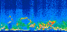 /calipso-imagery/data/BROWSE/production/V5-00/2009-05-09/2009-05-09_02-47-16_V5.00_3_thmb.png image missing