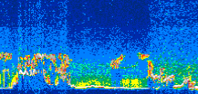 /calipso-imagery/data/BROWSE/production/V5-00/2009-05-09/2009-05-09_07-43-57_V5.00_3_thmb.png image missing