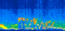 /calipso-imagery/data/BROWSE/production/V5-00/2009-05-09/2009-05-09_12-40-37_V5.00_3_thmb.png image missing